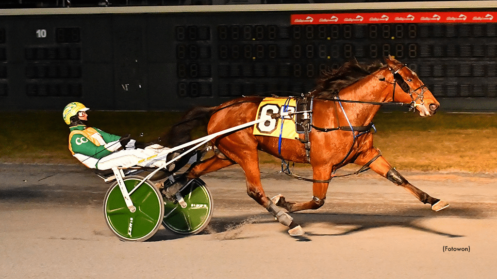 Standardbred Canada: Championing Excellence in Harness Racing