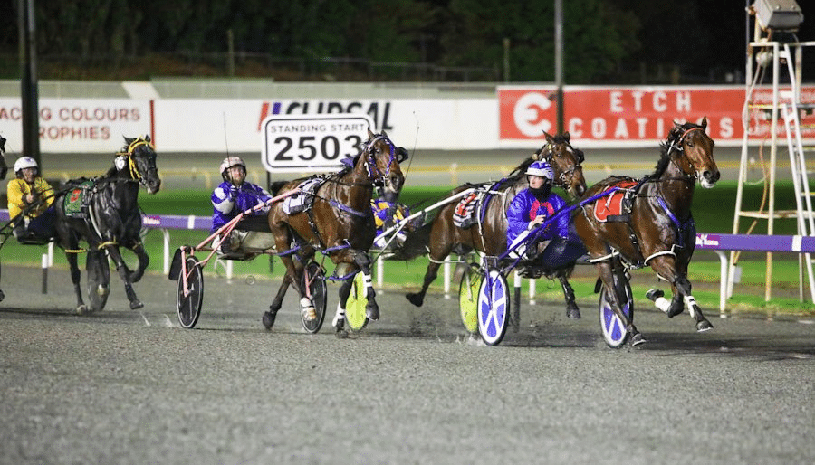 Standardbred Canada: The Future And Revisions