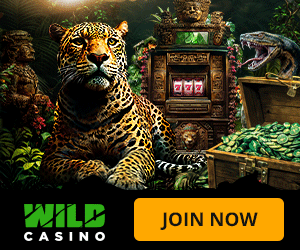 Wild Casino 250 Welcome Free Spins